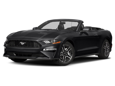 2020 Ford Mustang EcoBoost Premium in Paris, TN - Peppers Automotive Group