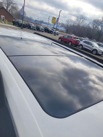 2026 Ford Expedition Active Leather