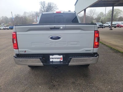 2023 Ford F-150 XLT 4x4