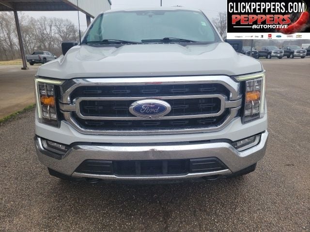 2023 Ford F-150 XLT 4x4